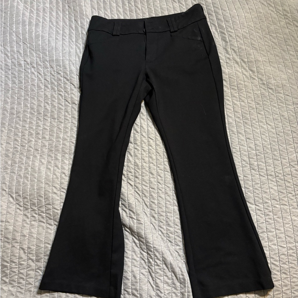 Torrid bootcut Dress Pants